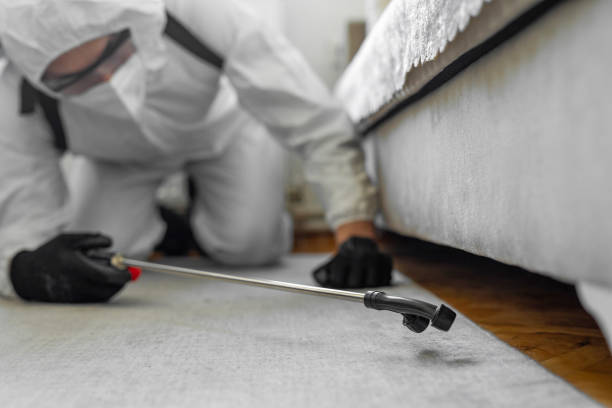 Professional Bed Bug Control technician working in Fairview, GA